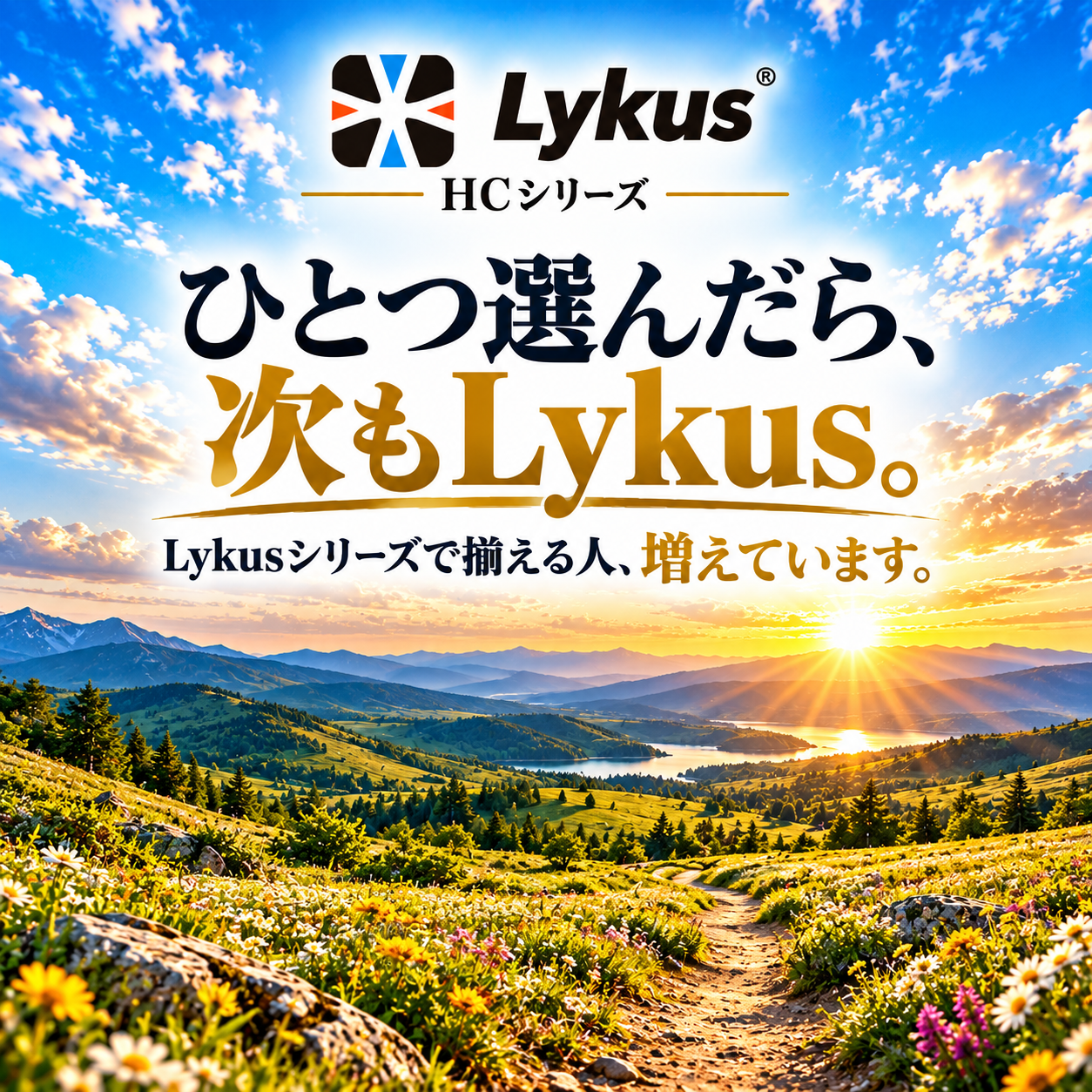 Lykus HC-3310 交換用 格子状カットスポンジ インナフォーム 予備 | カメラ レンズ インカム モニター ドローン バッテリー ジンバル スマホ 無線 精密機器 測定器 工具 | 欧米人気 YouTube SNS 投稿多 世界30か国 ユーザー - 画像 (7)